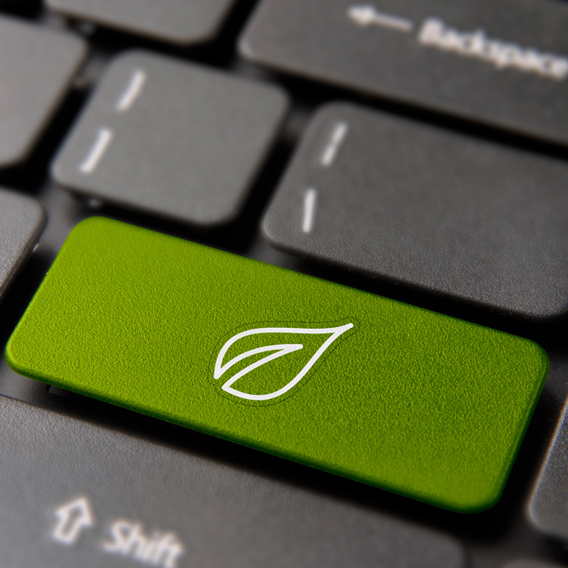 Is Blogging Important For Your Sustainable Business?