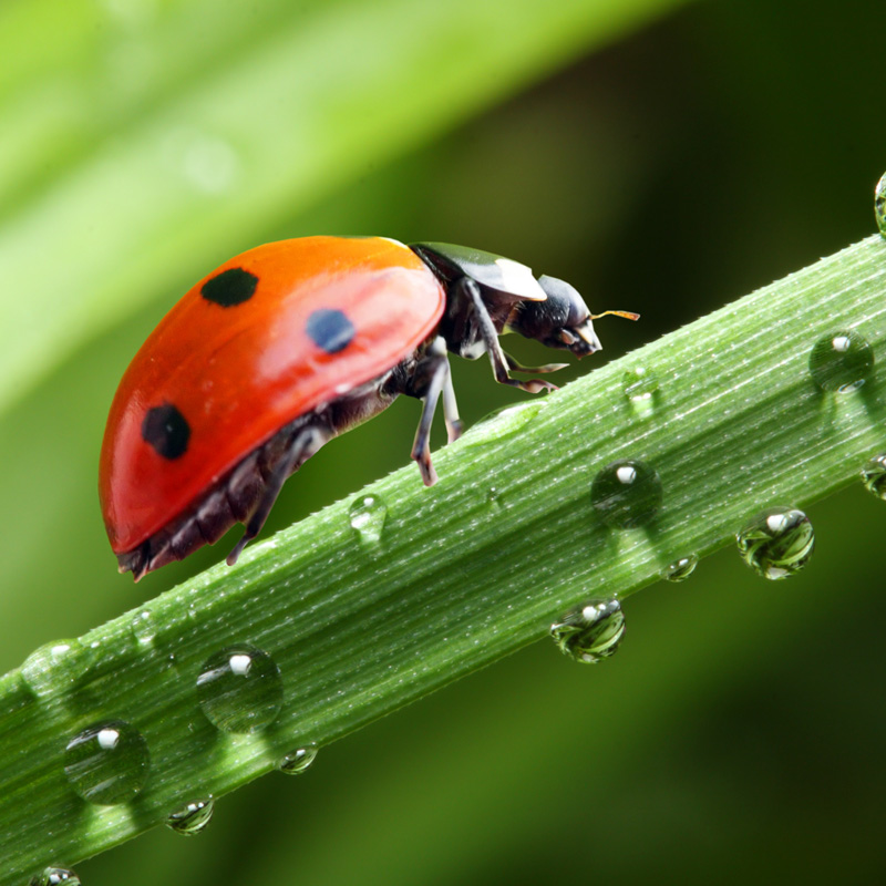 What Does Real Sustainability Look Like?