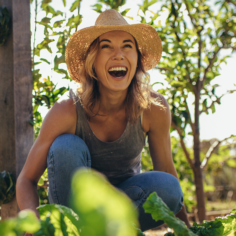 Sure Fire Strategies For Building Your Organic Brand