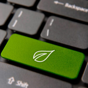 Eco-Friendly And Sustainable Web Design
