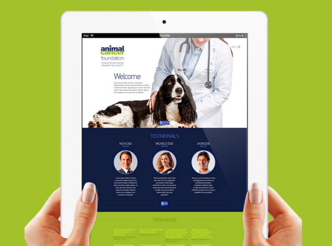 Animal Cancer Foundation