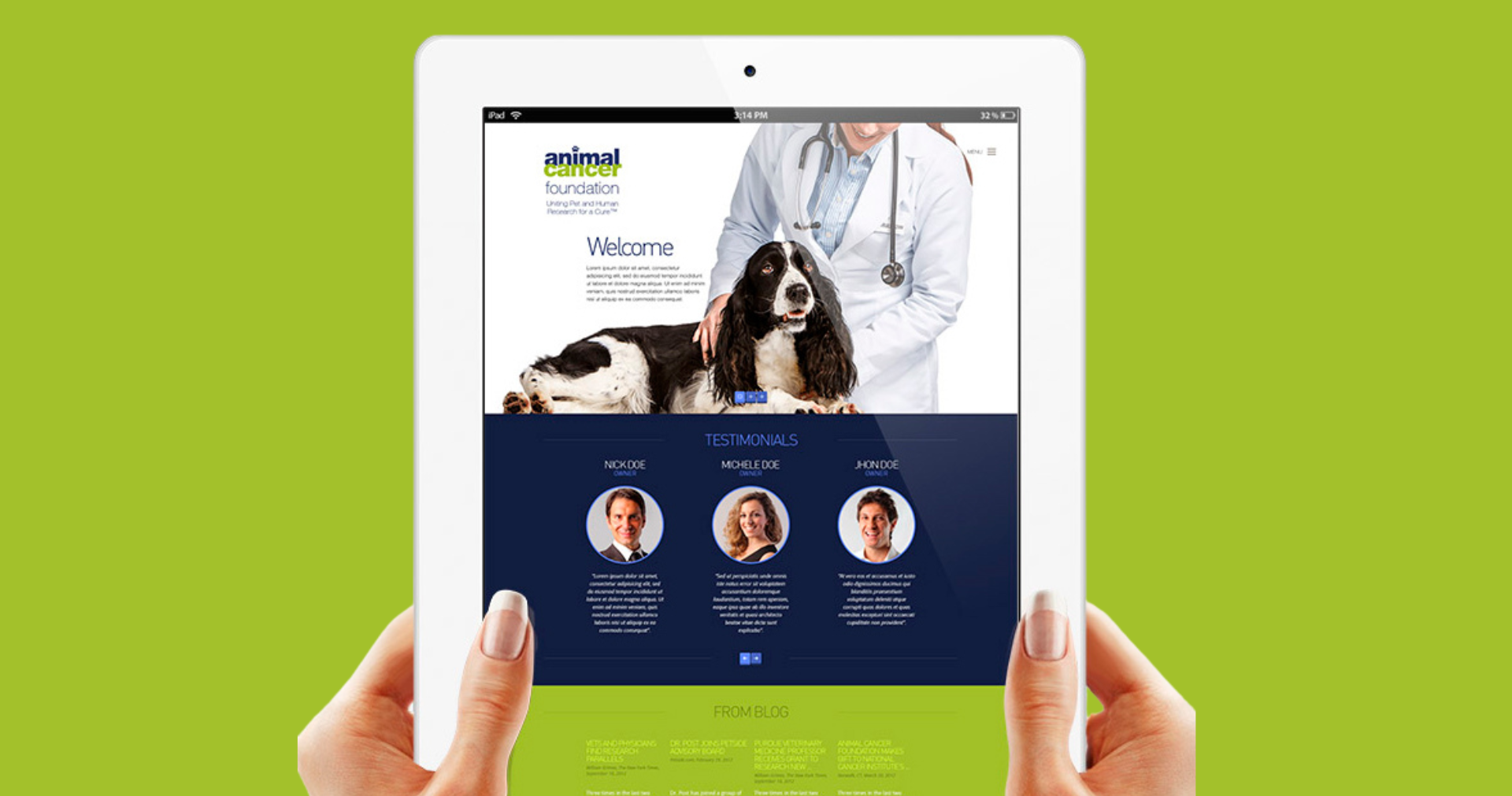 Animal Cancer Foundation