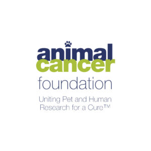 Animal Cancer Foundation