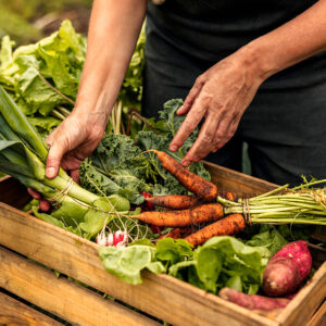 Organic Gardening