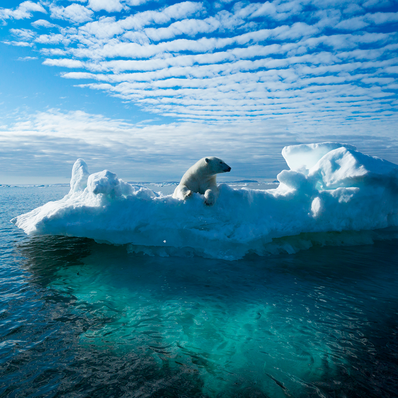 Unraveling the Climate Change Hoax Belief: Understanding the Skepticism