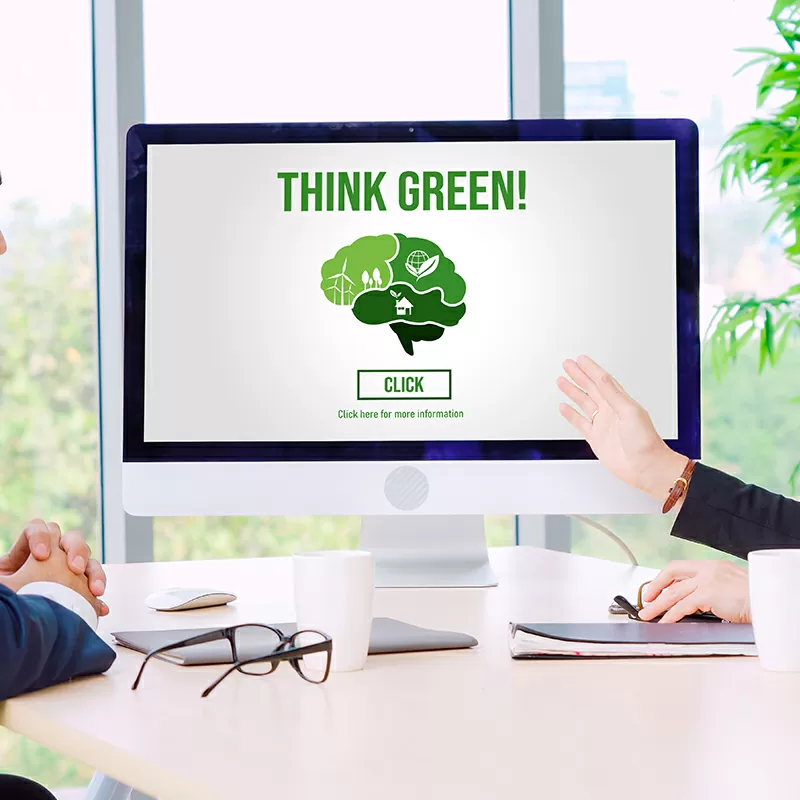 Greenwashing: How Companies Are Tricking You with Fake Eco-Friendly Claims