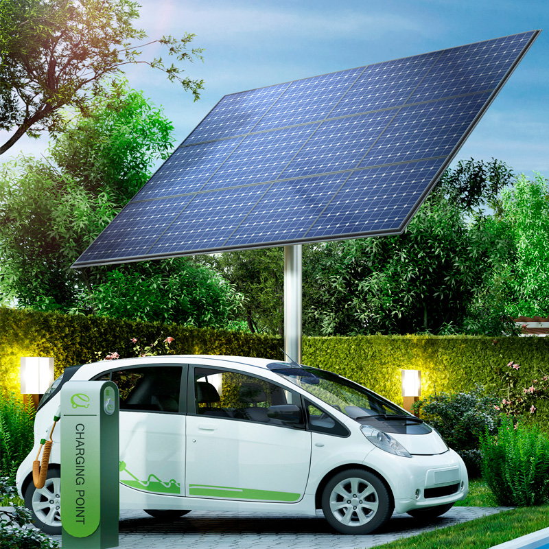 What Is the Difference Between Going Green and Sustainability?