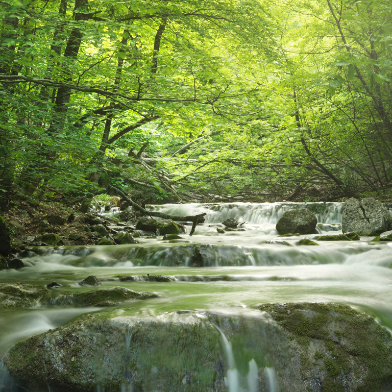 Saving Our Lakes, Rivers, and Wetlands for the Next Generation