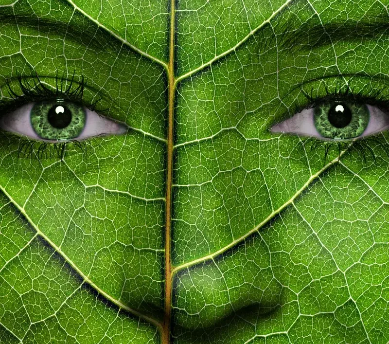 Finding Your Environmental Organization’s Brand Voice