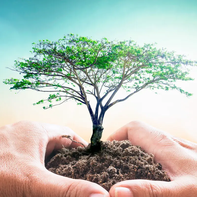 Biodiversity: The Living Infrastructure of Our Planet